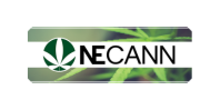New England Cannabis Convention - Feature