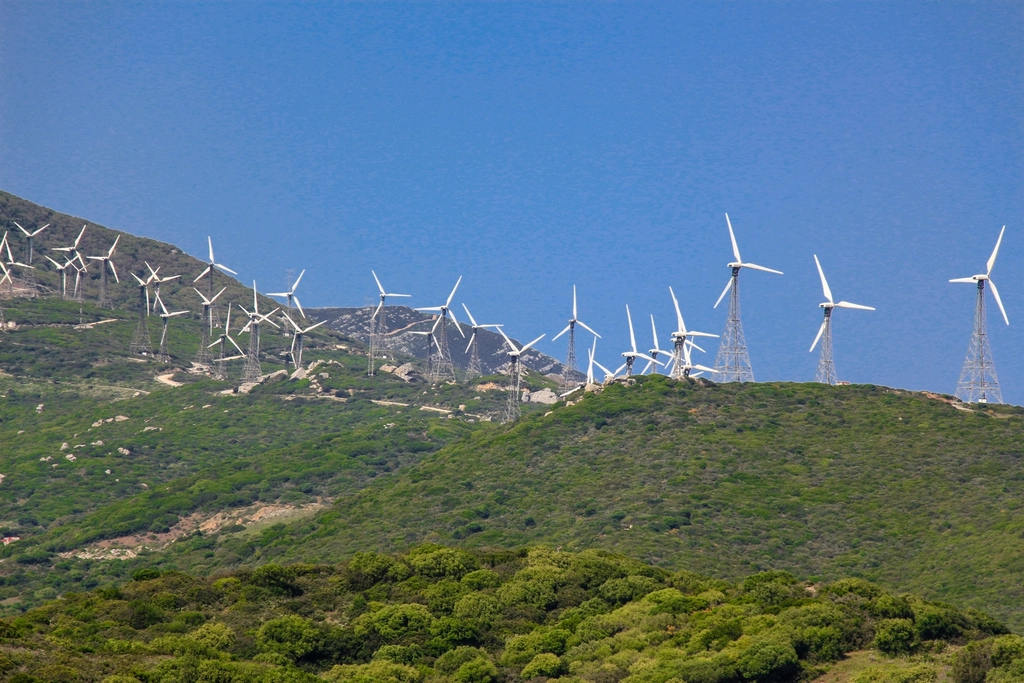 Offshore Energy exhibitors list